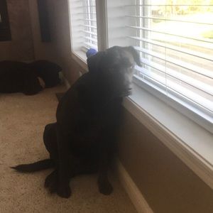 Meet your Posher, Jill